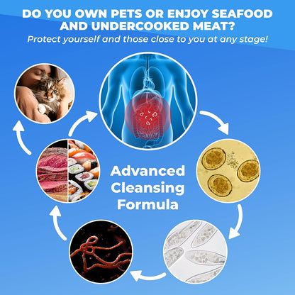 PUREHEALTH RESEARCH Parabroom - Gut Cleanse & Health Supplement - with Black Walnut, Sweet Wormwood Powder, Turmeric Extract, Olive Leaf, Garlic & Onion - Digestive Support for Women & Men 60 Capsules - Wholesale Rabbits