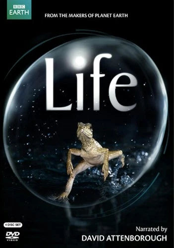 Life DVD