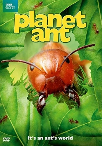 Planet Ant (DVD) DVD